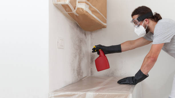 Professional Hvac And Air Duct Mold Remediation technician working in Kingston, IL